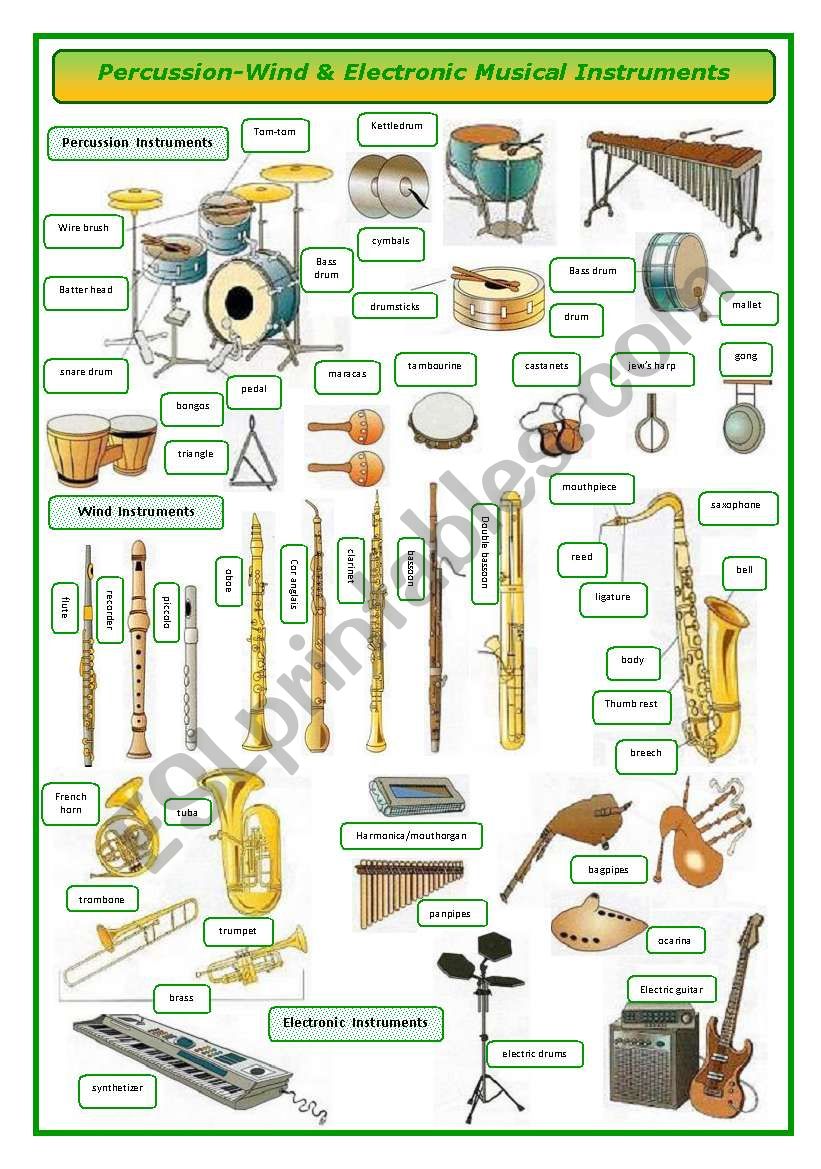 Percussion-wind and electronic musical instruments-pictionary