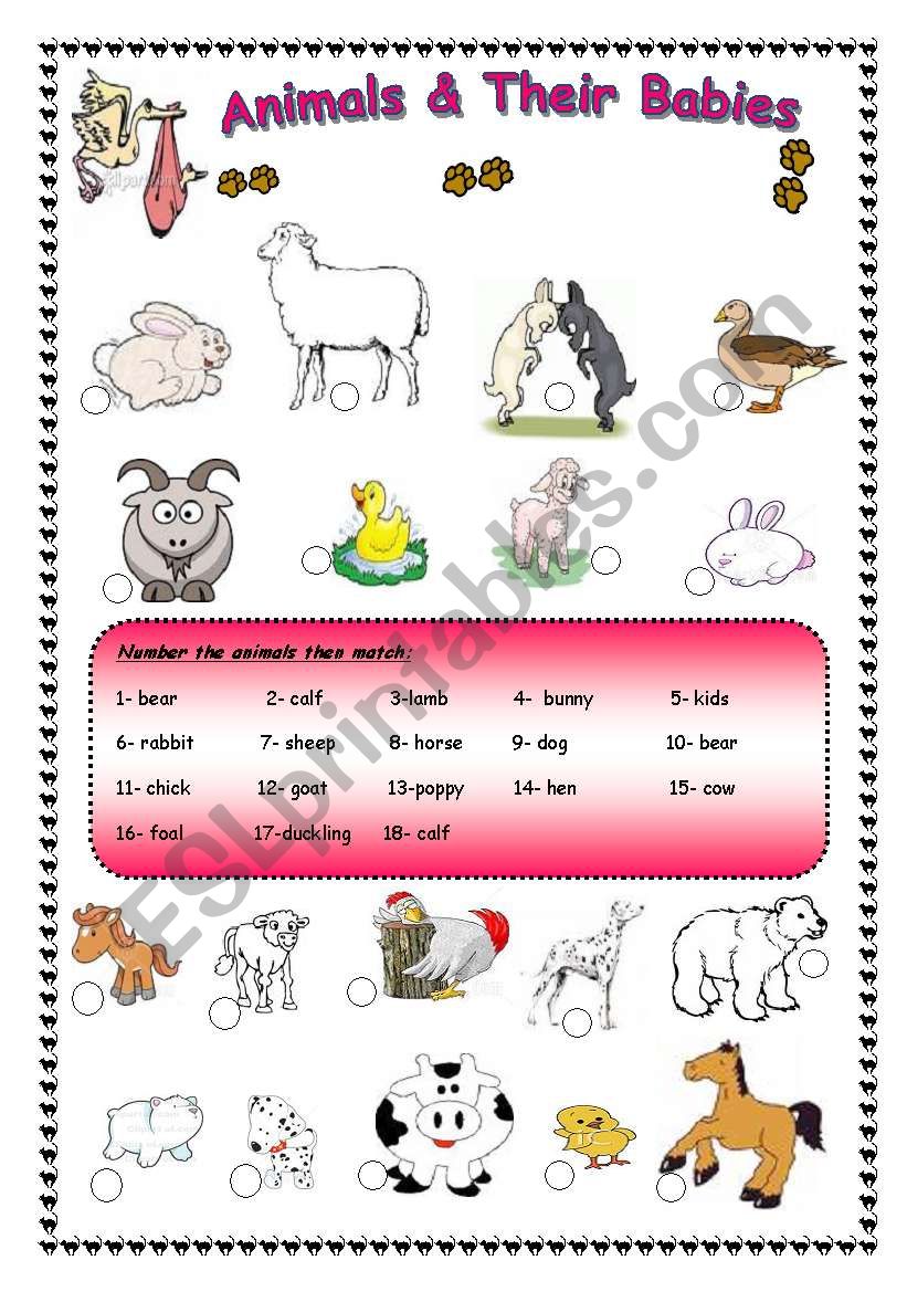 Animals and their babies + ( BW ) is provided - ESL worksheet by Rosi Noor
