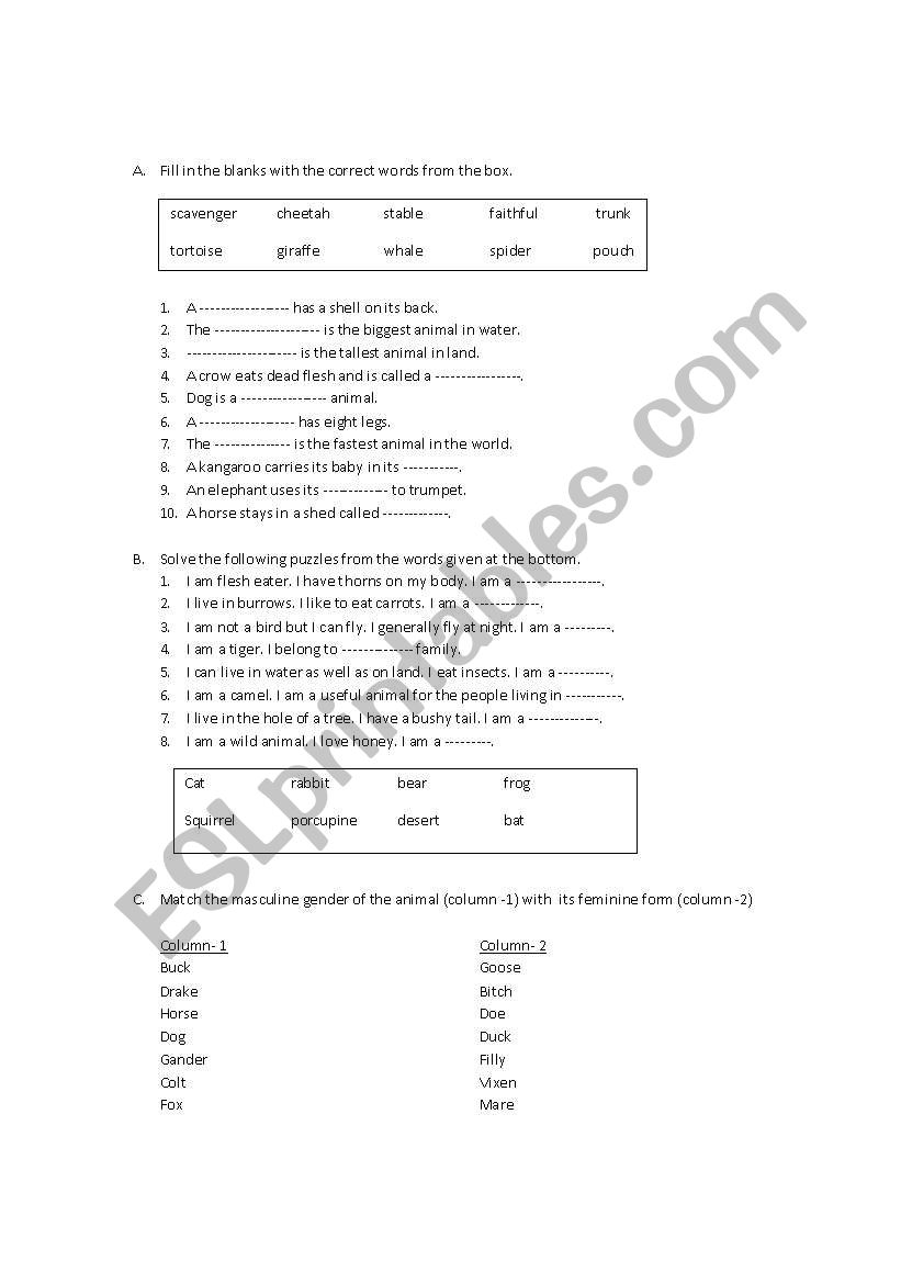 Animal Worksheet worksheet