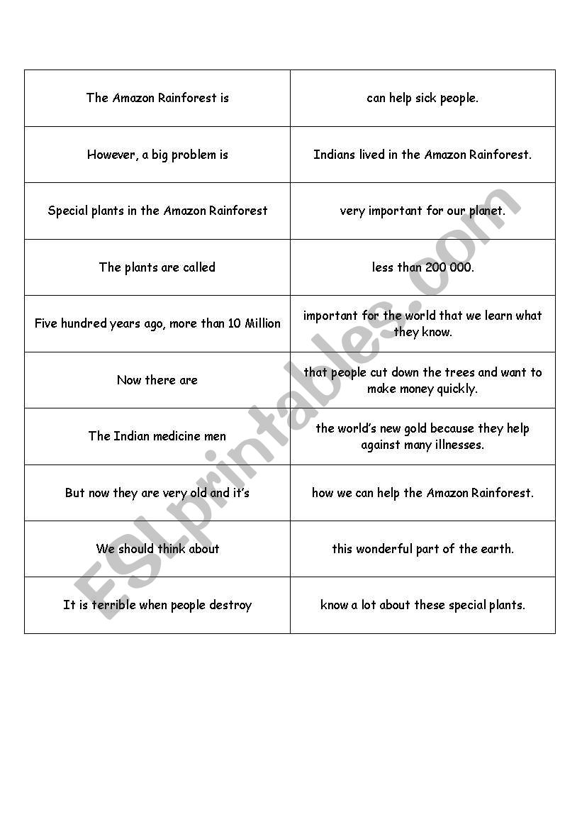 Amazon Rainforest worksheet