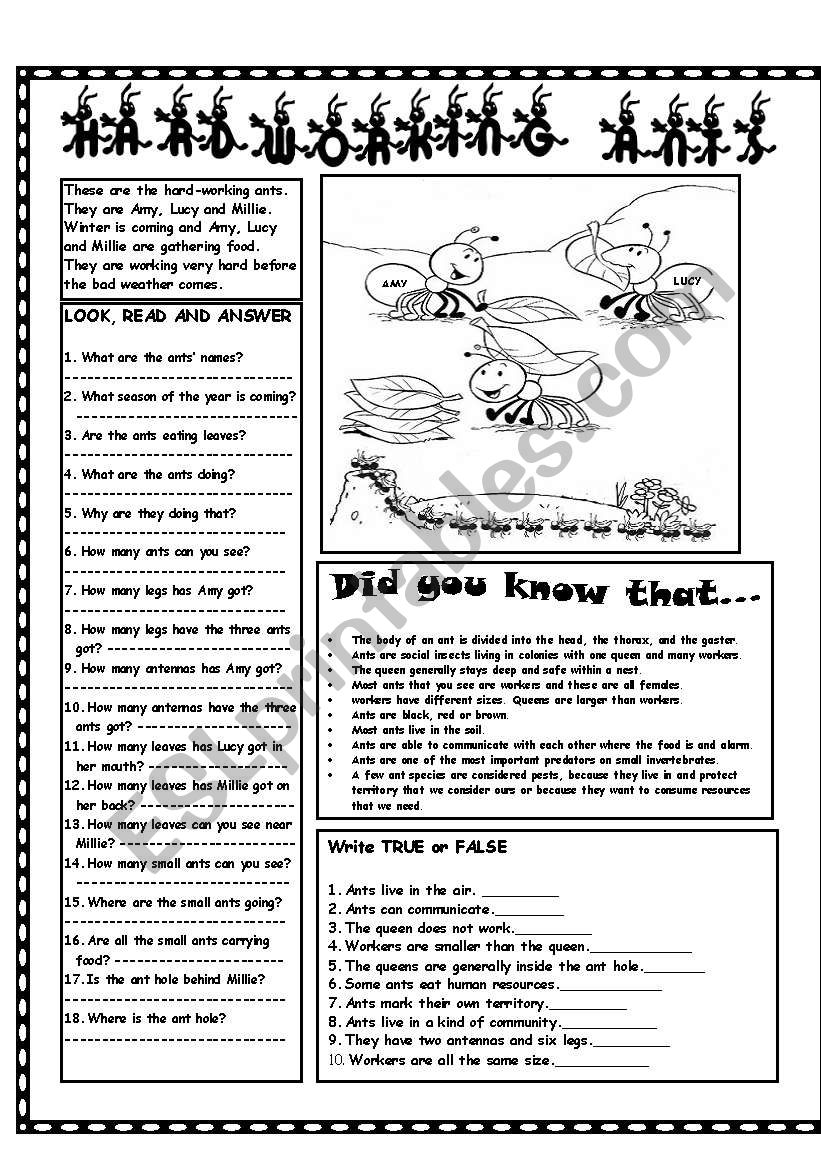 HARDWORKING ANTS worksheet