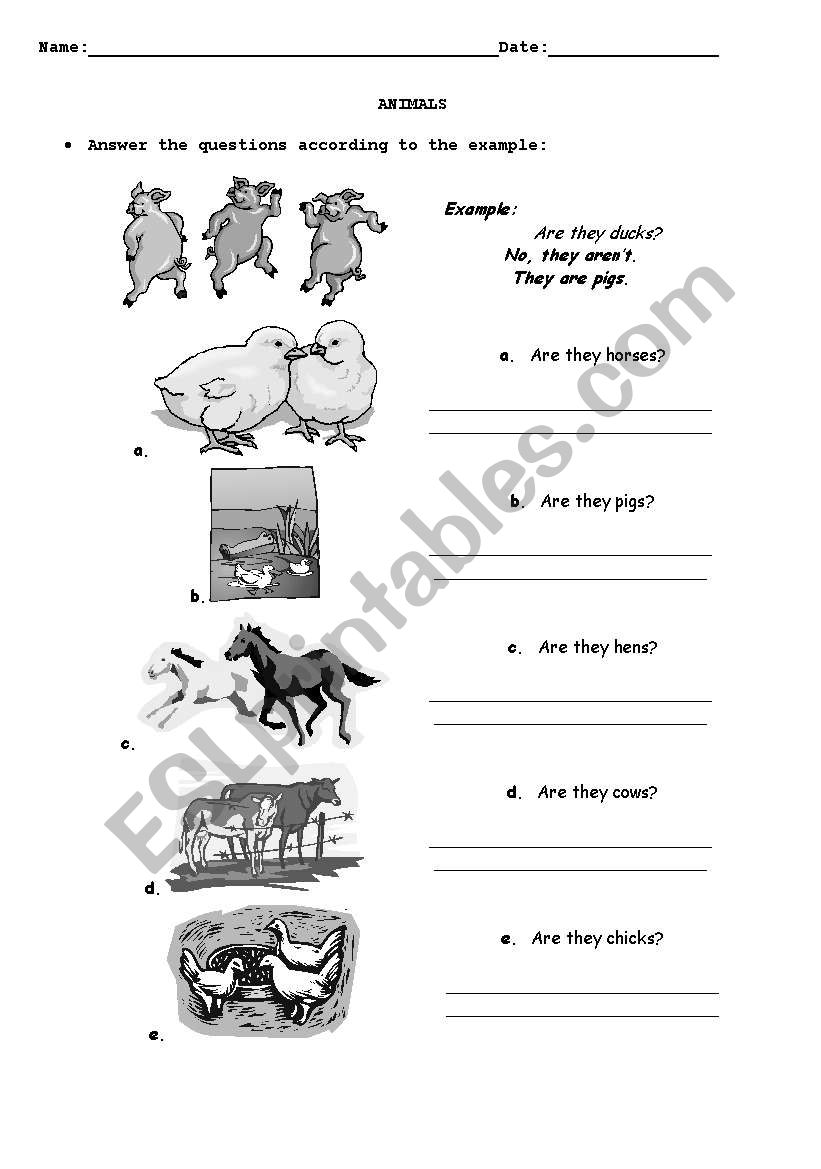 Animals Yes/No Questions worksheet