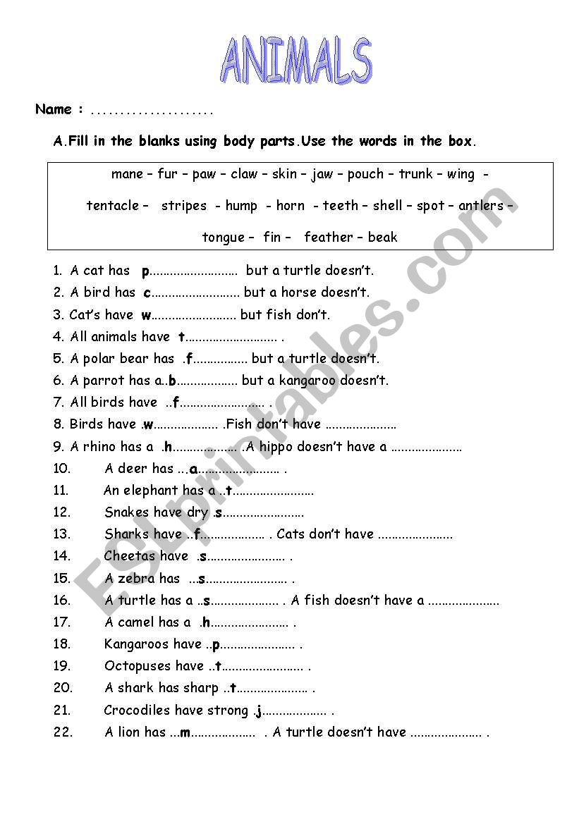 Animals,animals body parts worksheet