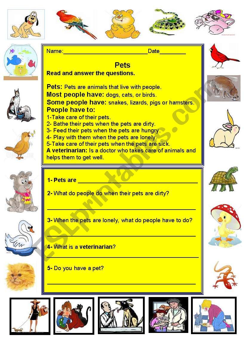 Pets worksheet