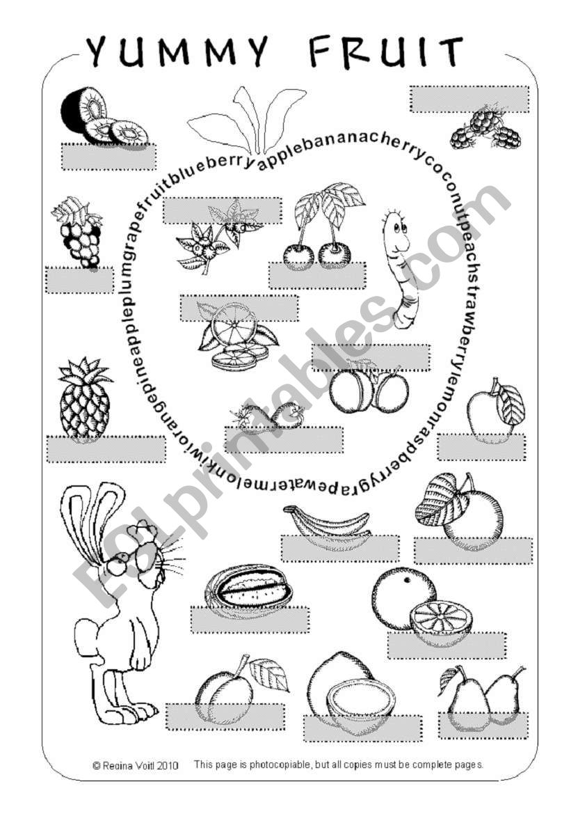 Bunnys Yummy Fruit - Pictionary / Wordsearch / Coloring