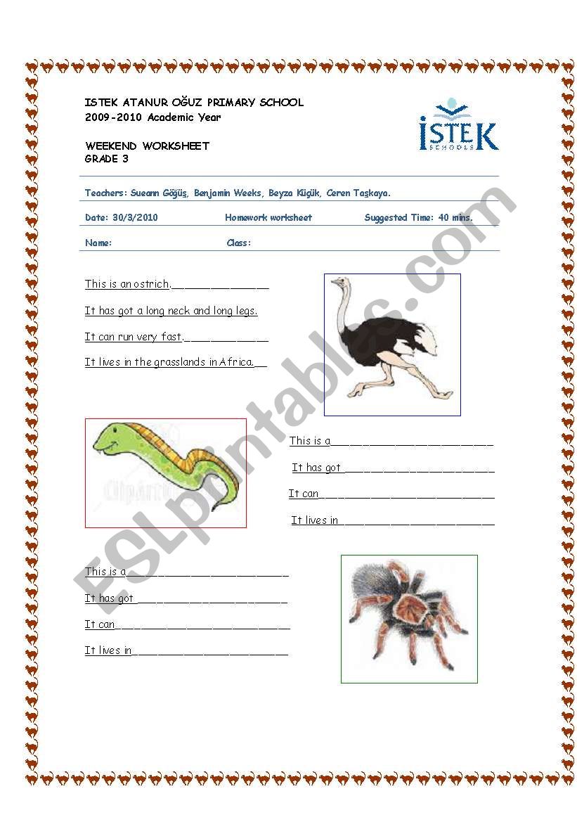 animals  worksheet