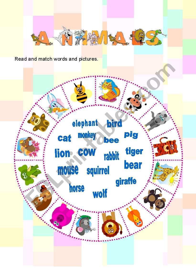 ANIMALS MATCHING ACTIVITY worksheet