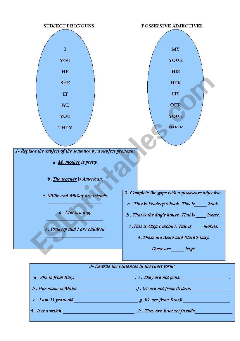 subject pronouns and possessive forms