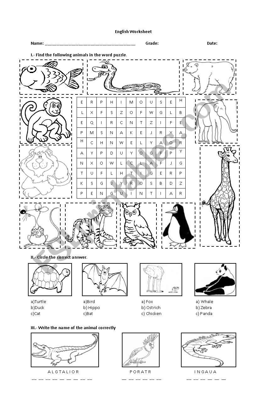 Animals worksheet