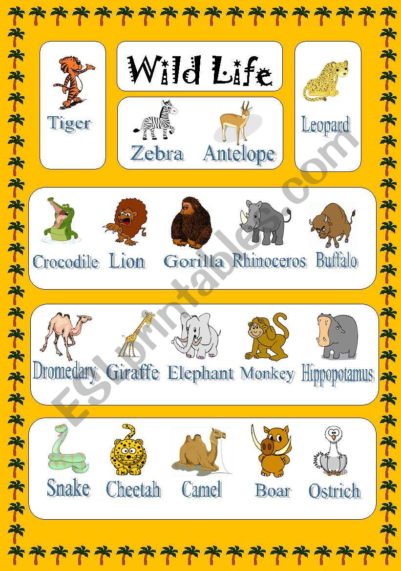 Animals - Wild Life worksheet