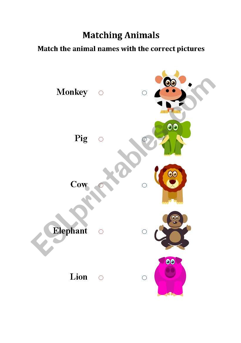 Matching Animals worksheet
