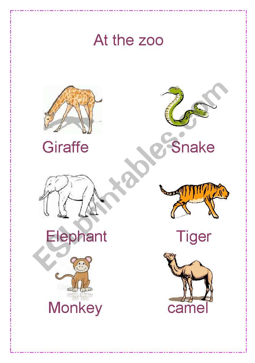 at the zoo worksheet