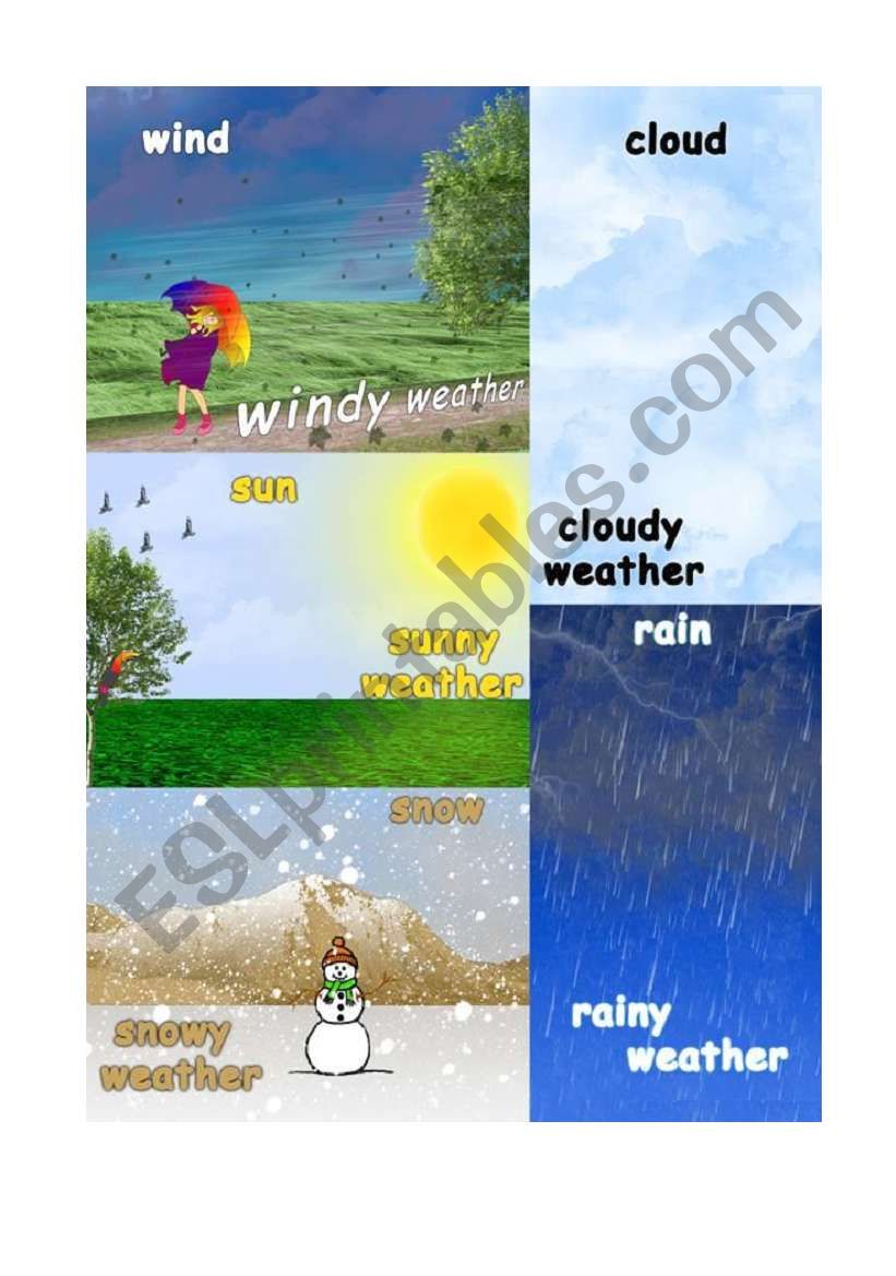 Weather worksheet