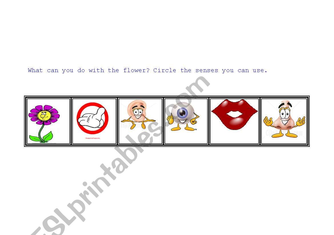 flower senses worksheet