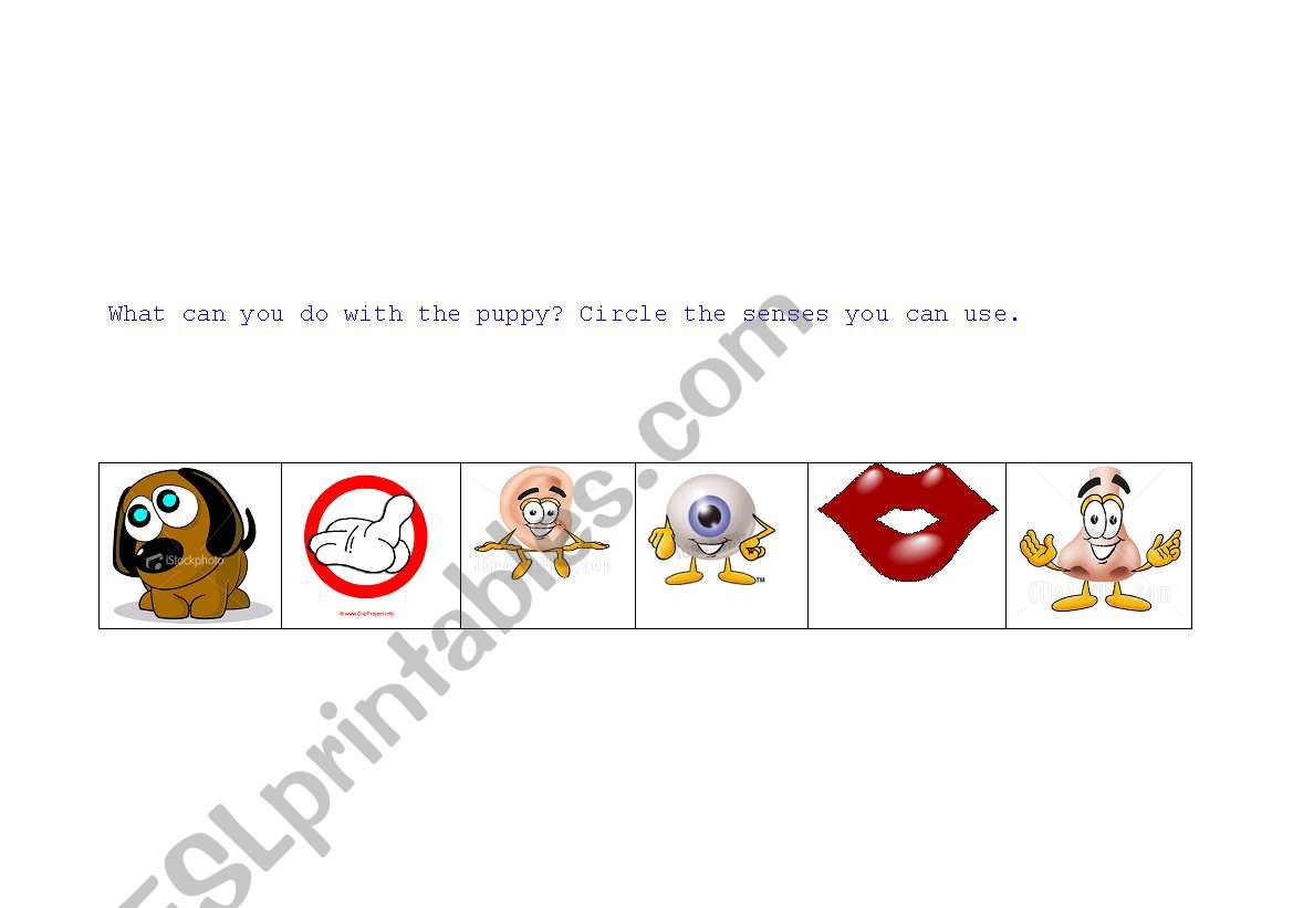 puppy senses worksheet