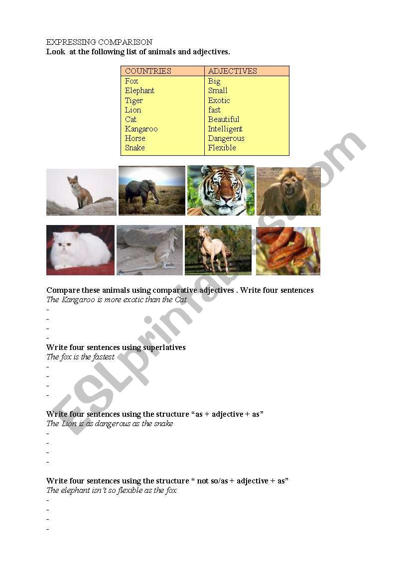 Comparing animals  worksheet