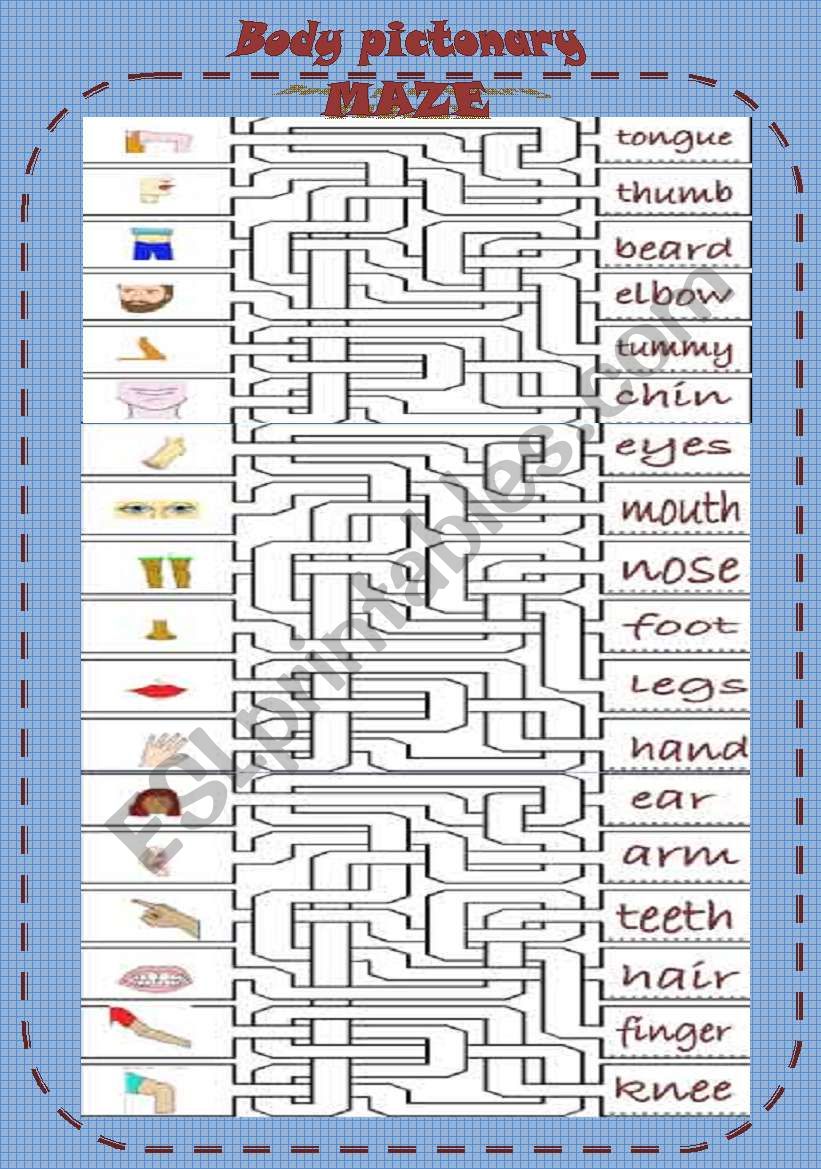 MAZE:Body pictonary  worksheet