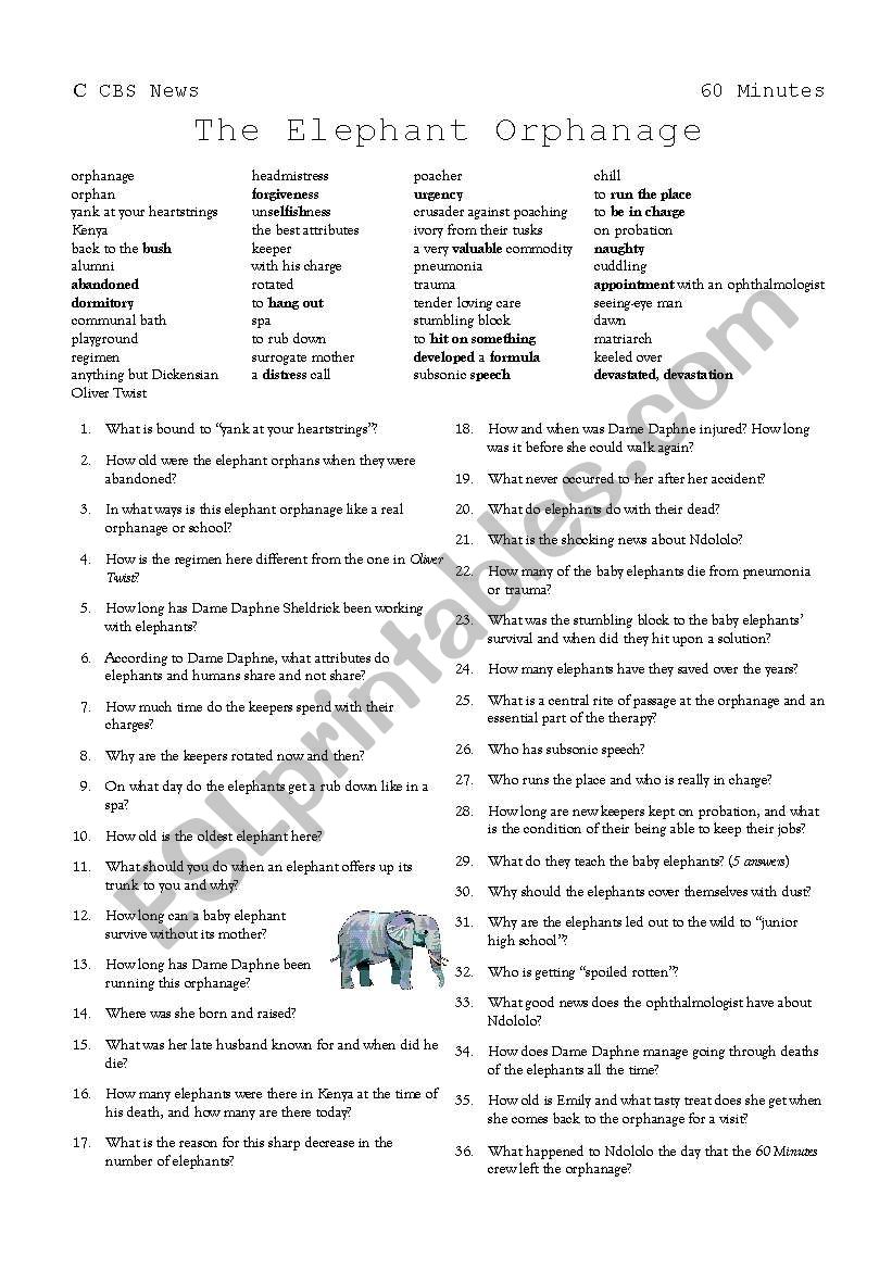 Elephant Orphanage worksheet