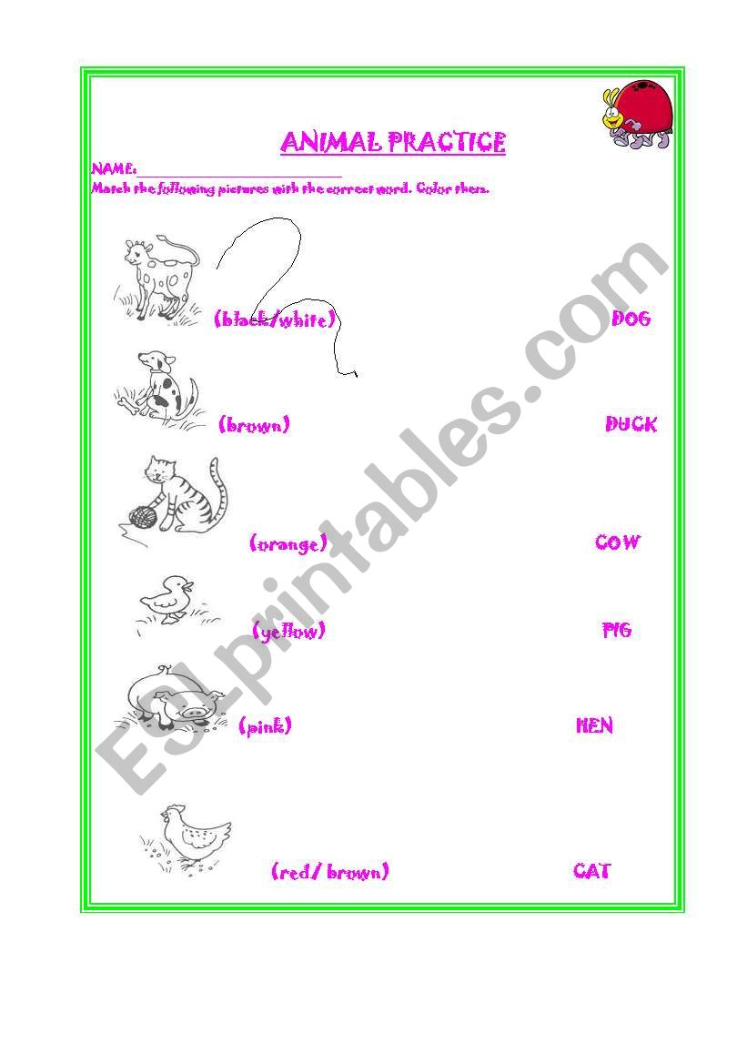 ANIMAL PRACTICE worksheet