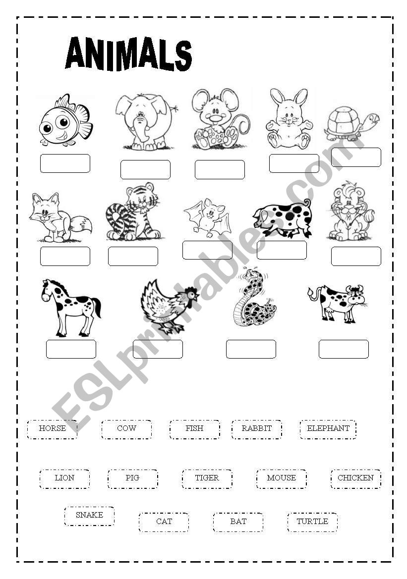 ANIMALS worksheet