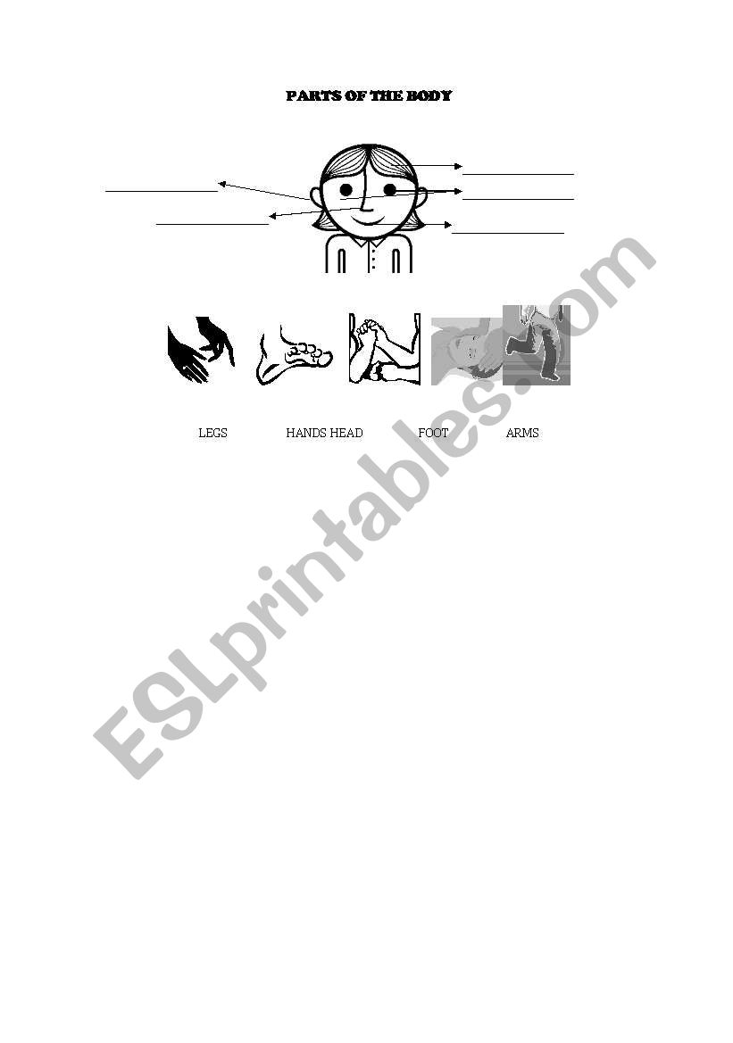 Parts of the body worksheet