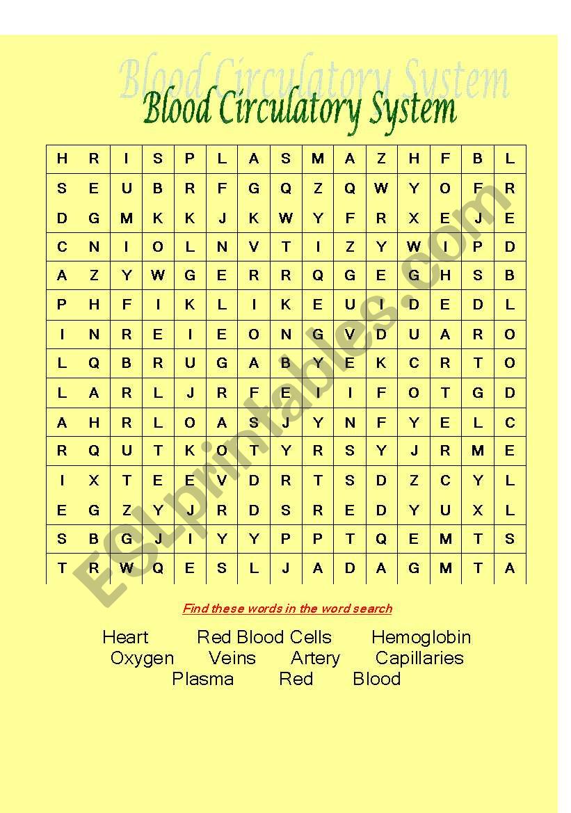 Blood Circulatory System worksheet