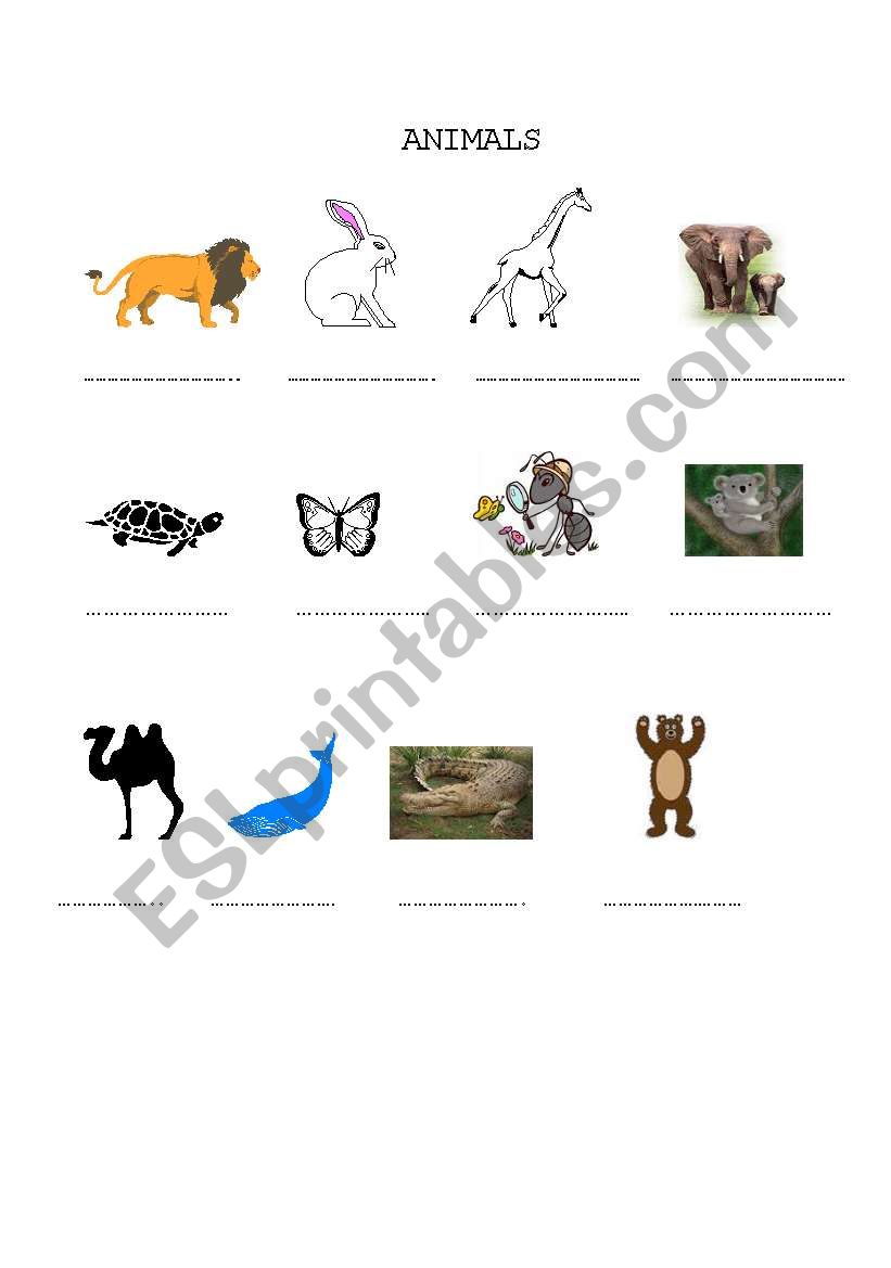 ANIMALS worksheet