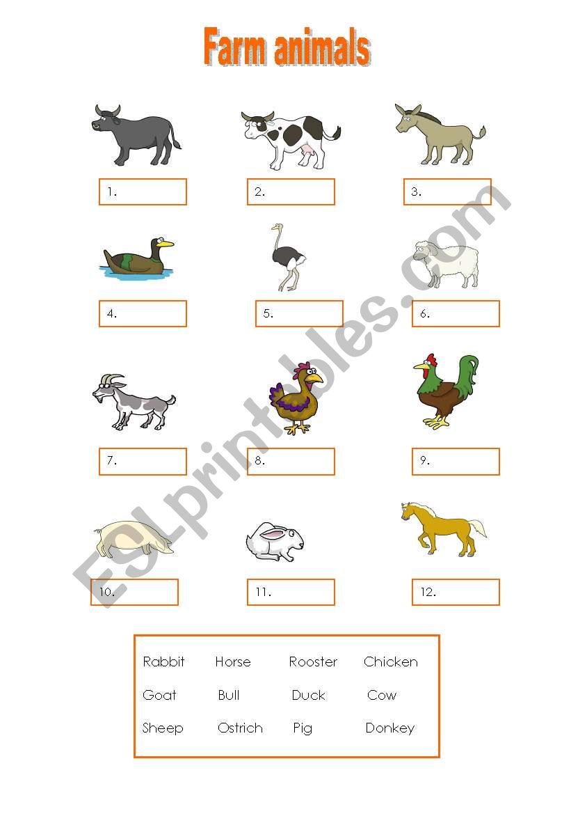 Farm animals worksheet