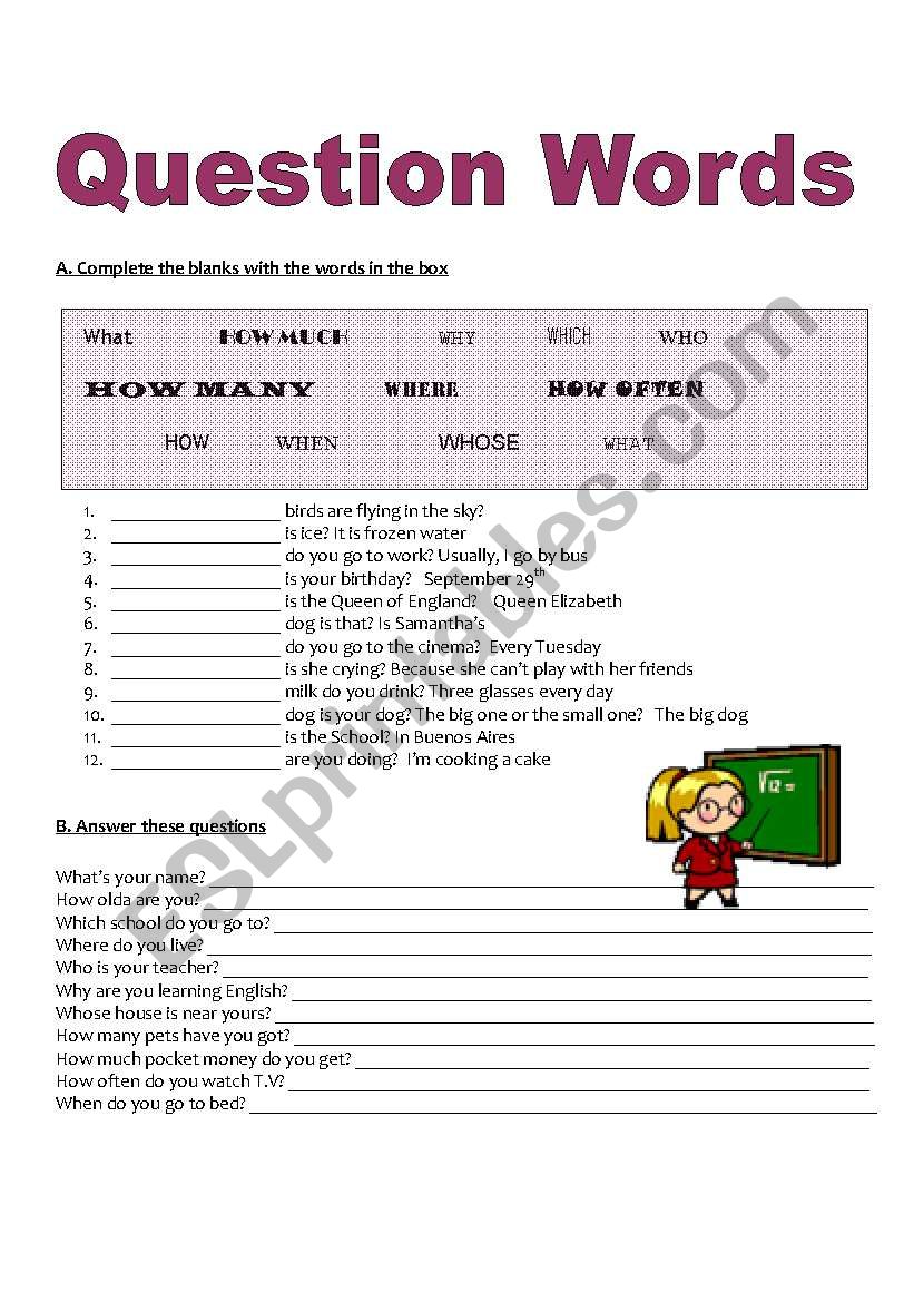 Question words worksheet