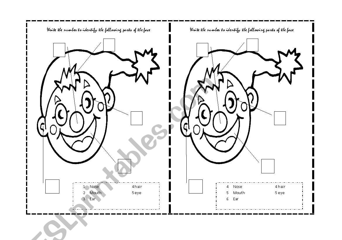 Parts of the face worksheet