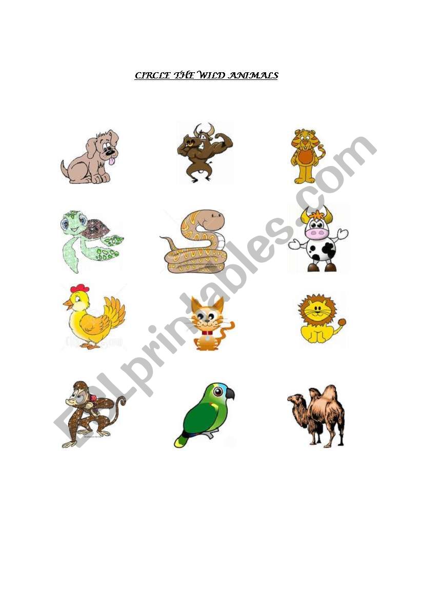 Animals worksheet