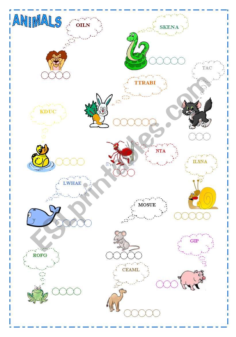 ANIMALS worksheet