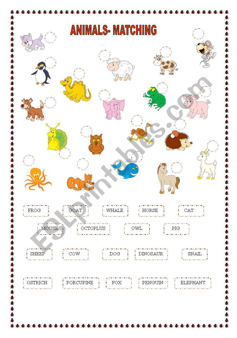 ANIMALS worksheet