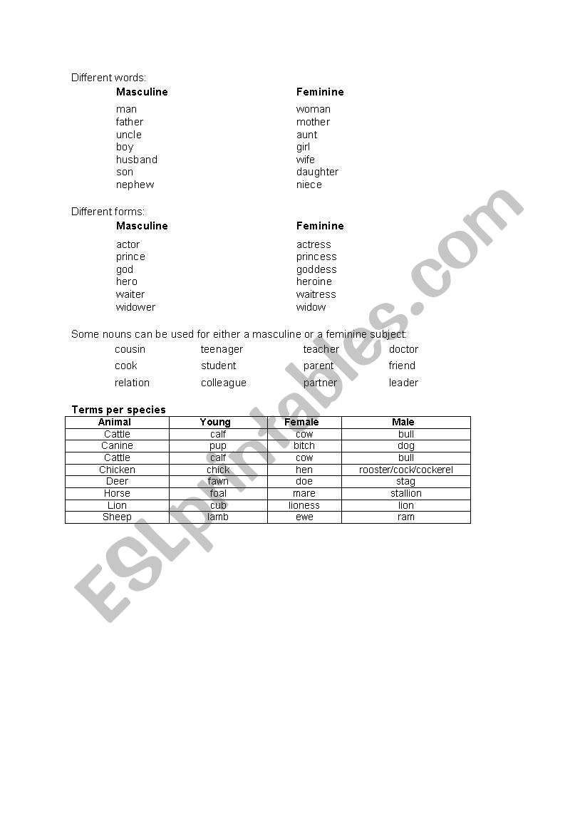 Masculine/Feminine worksheet