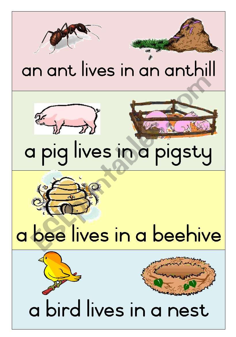  19 Animal Homes - Poster 1 worksheet