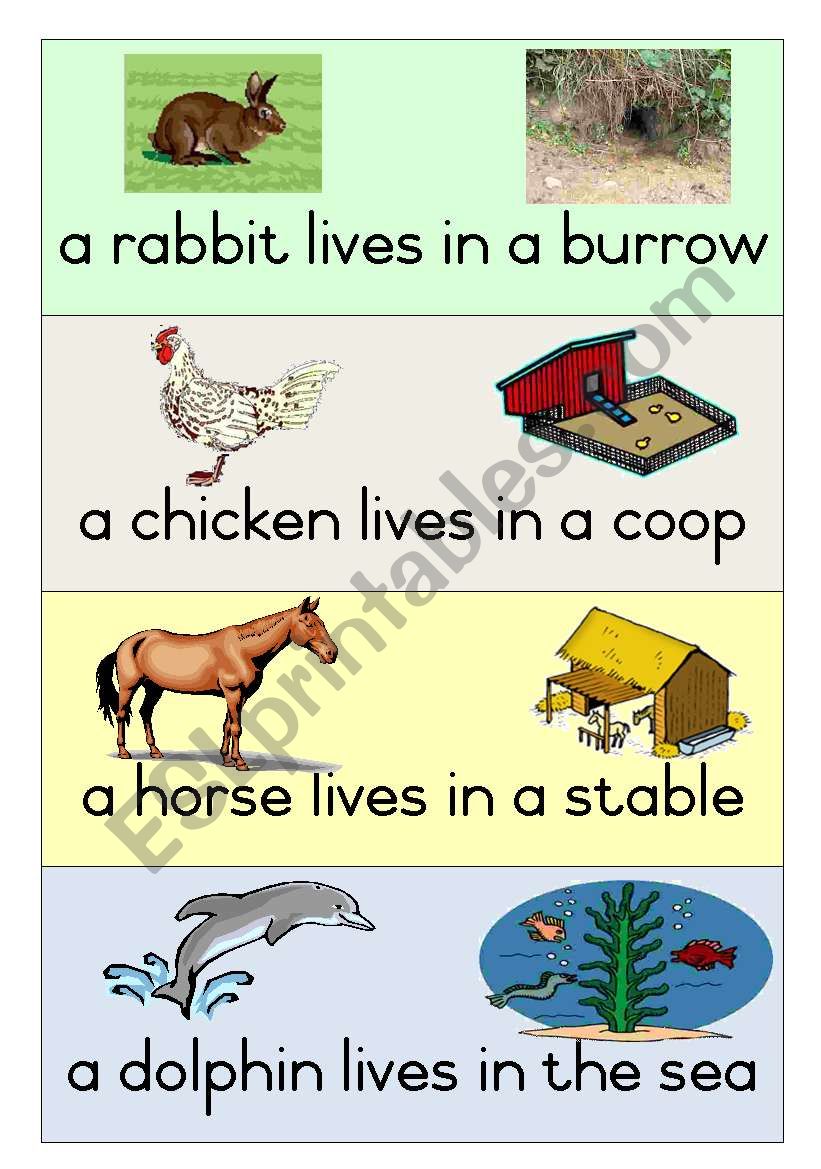 19 Animal Homes - Poster 2 worksheet