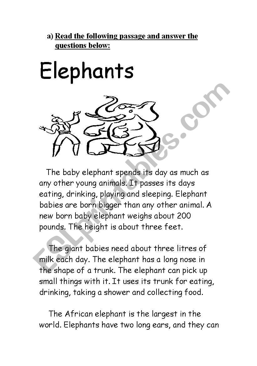 Elephants worksheet