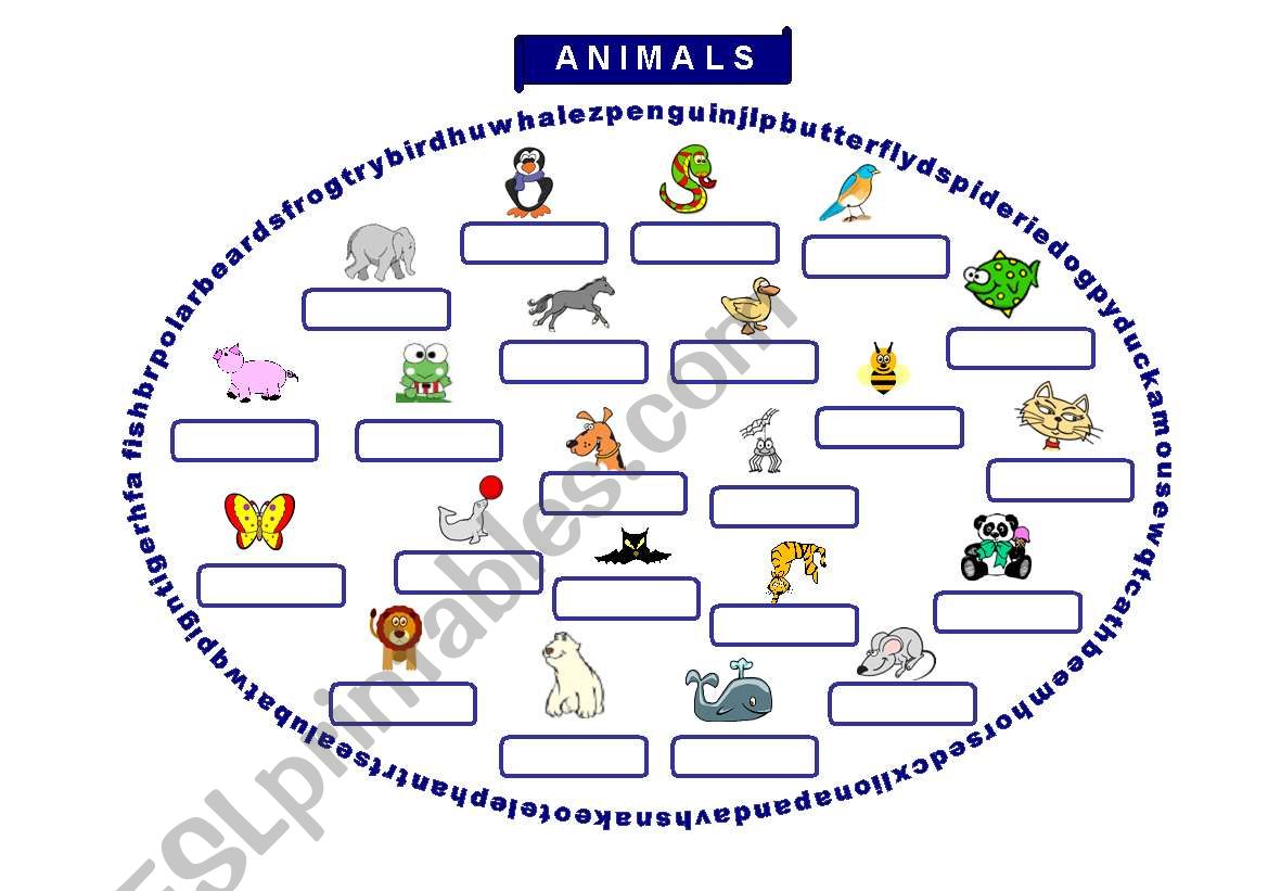 ANIMALS worksheet