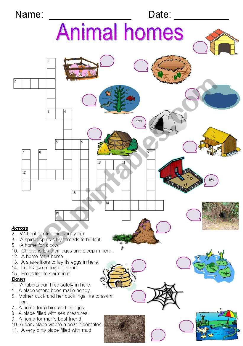 Animal Homes crossword worksheet