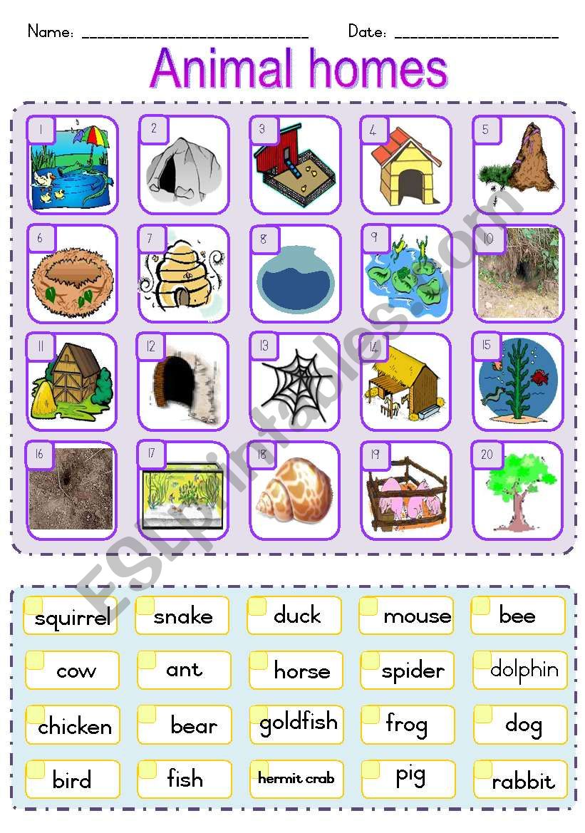 Animal Homes matching ws - ESL worksheet by Joeyb1