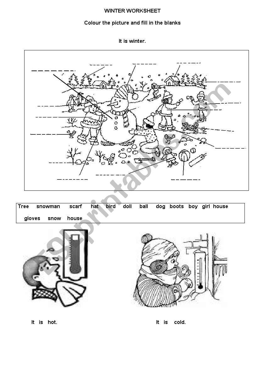 winter worksheet worksheet