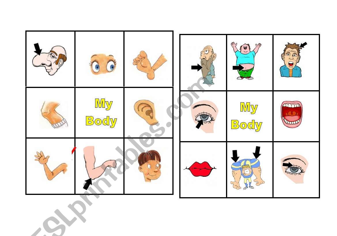 LETS PLAY BINGO BODY  PARTS worksheet