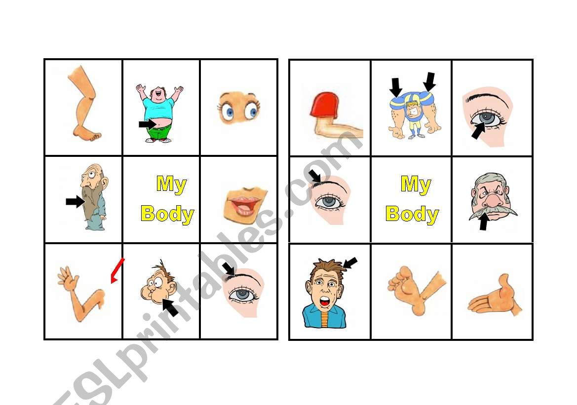 BINGO BODY PARTS 2 OF 3 worksheet