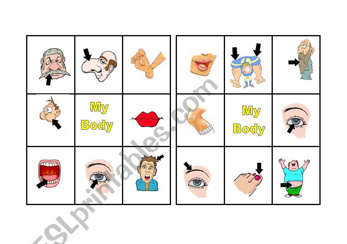 BODY PARTS 3 OF 3 worksheet