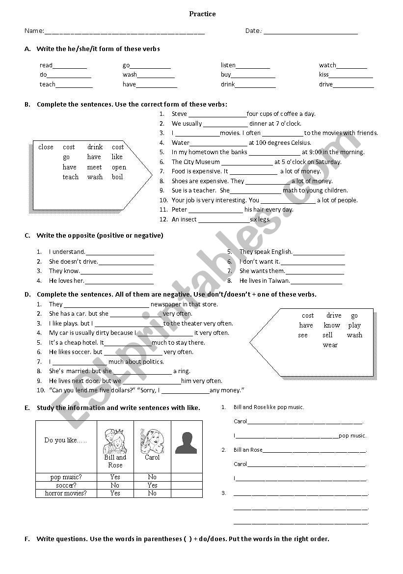 Simple  Present Practice worksheet