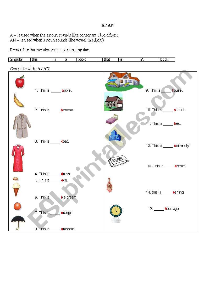 a / an worksheet