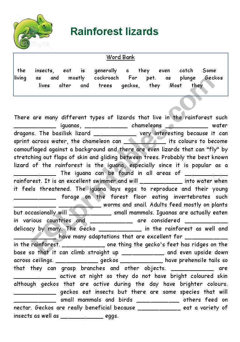 Rainforest lizards worksheet