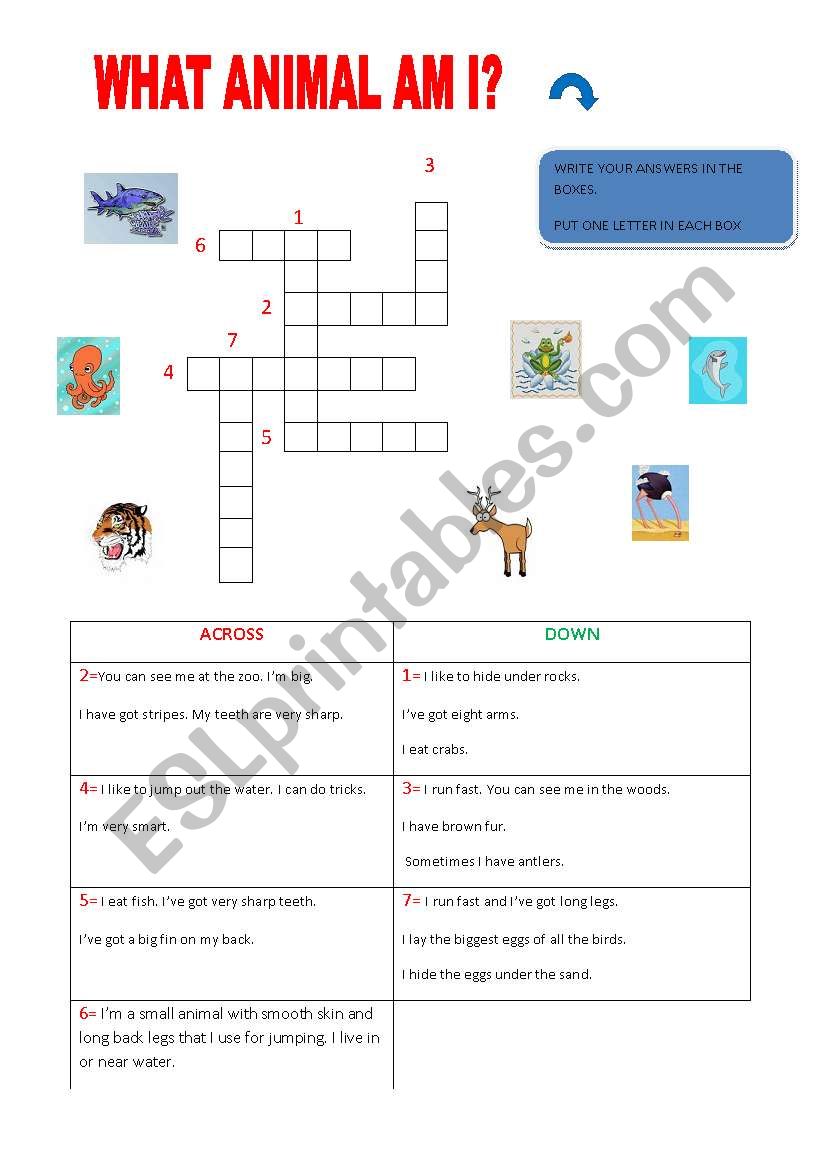 GUESS! WHAT ANIMAL AM I? worksheet