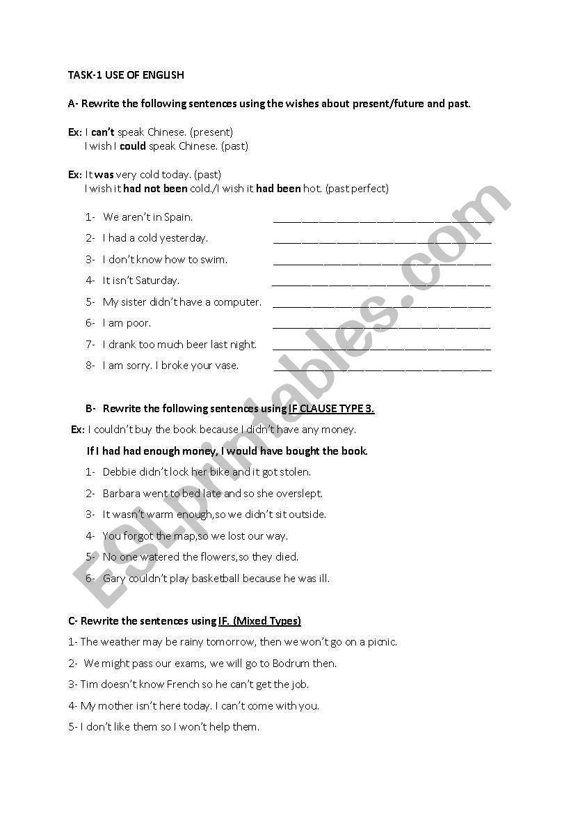 if and wish clauses worksheet