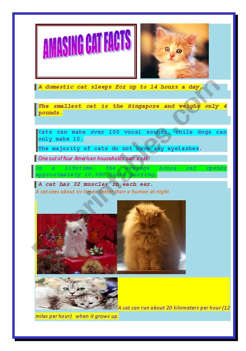 Amasing cat facts worksheet